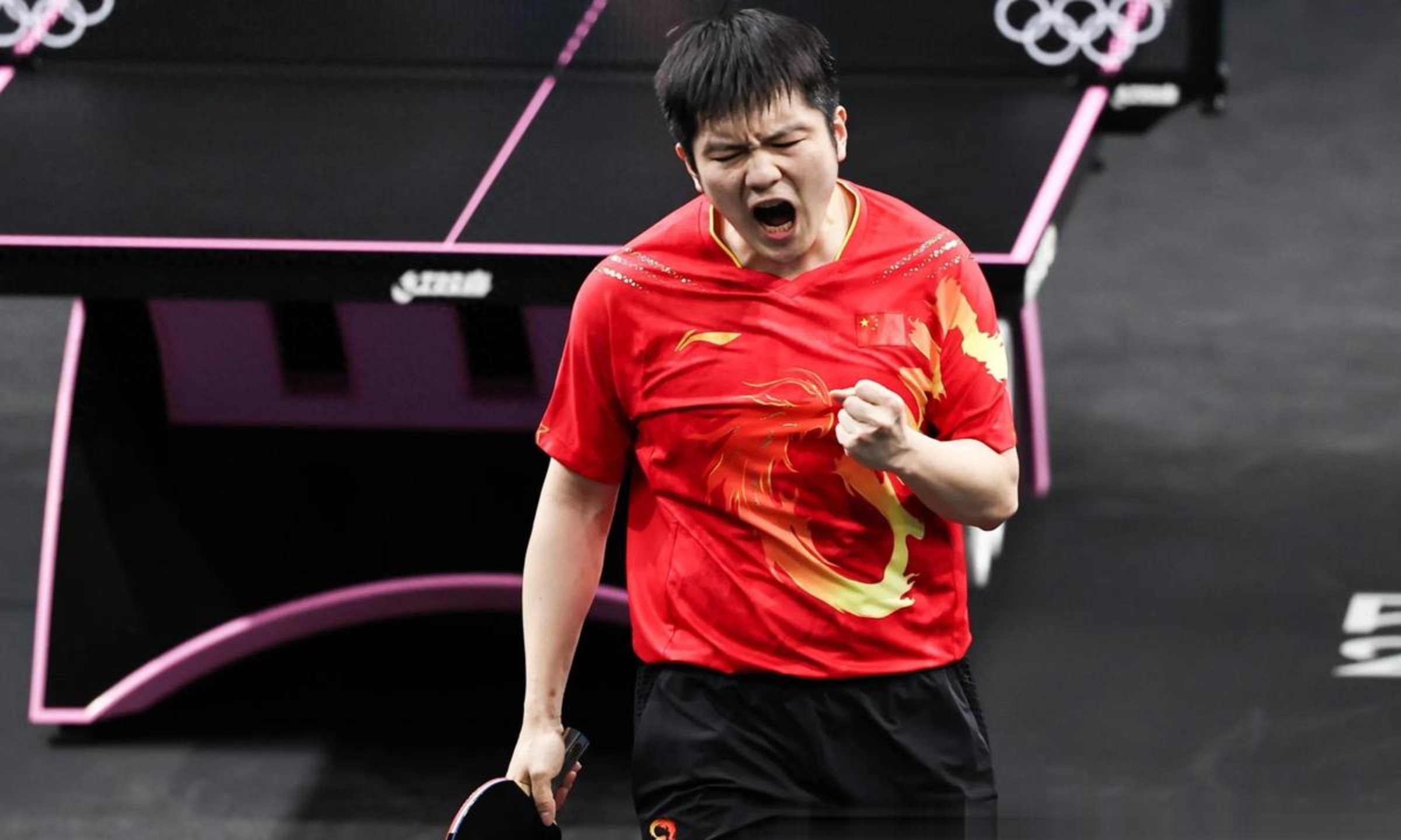 DB电竞分析入口-关于波兰乒乓球队绝地反击瑞典乒乓球队，樊振东制霸全场的信息