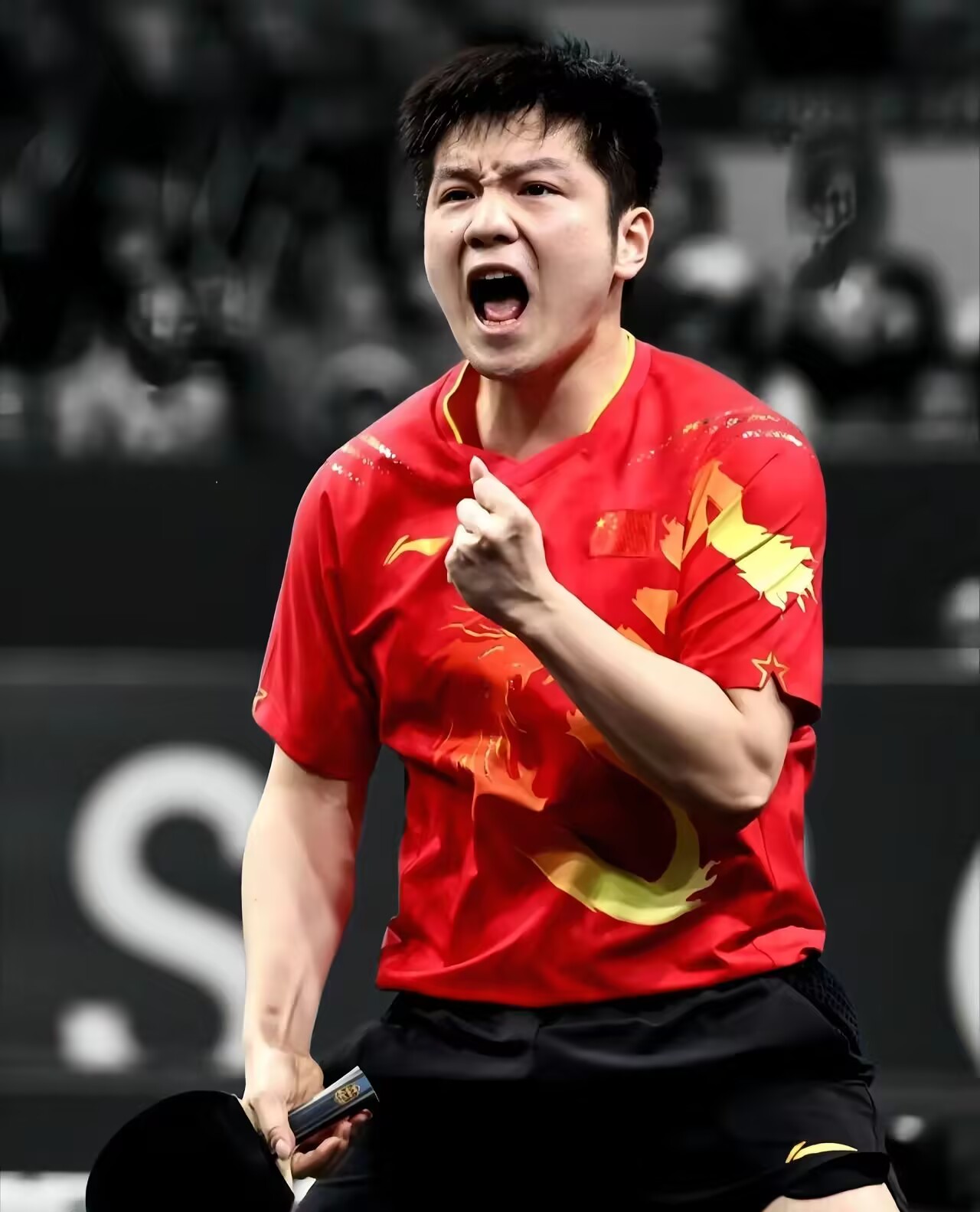 关于波兰乒乓球队绝地反击瑞典乒乓球队，樊振东制霸全场的信息